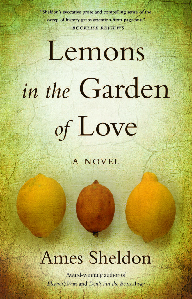 Award Winning Fiction Books Lemons Ames Sheldon